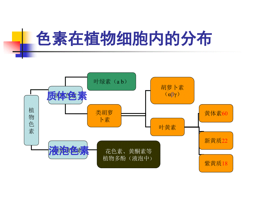 五章节烟草色素_第3页