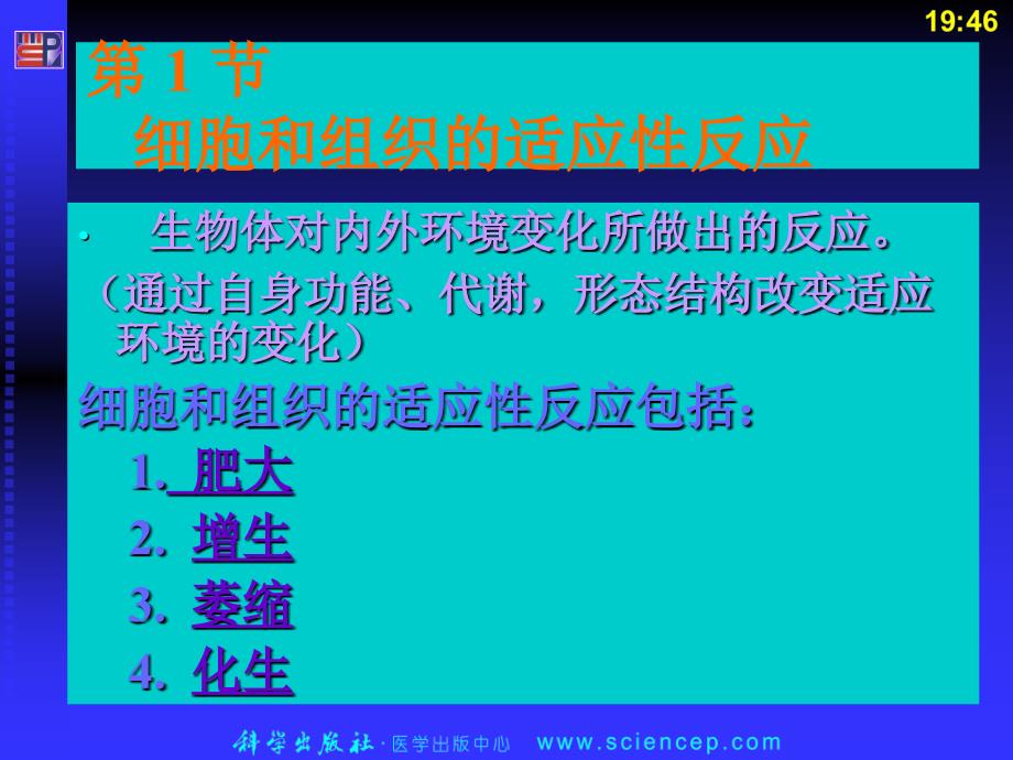 医学专题：细胞和组织的适应、损伤和修复_第3页