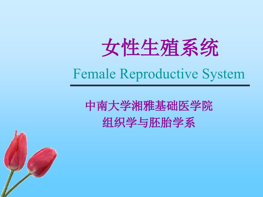 女性生殖系统医学院教材_第1页