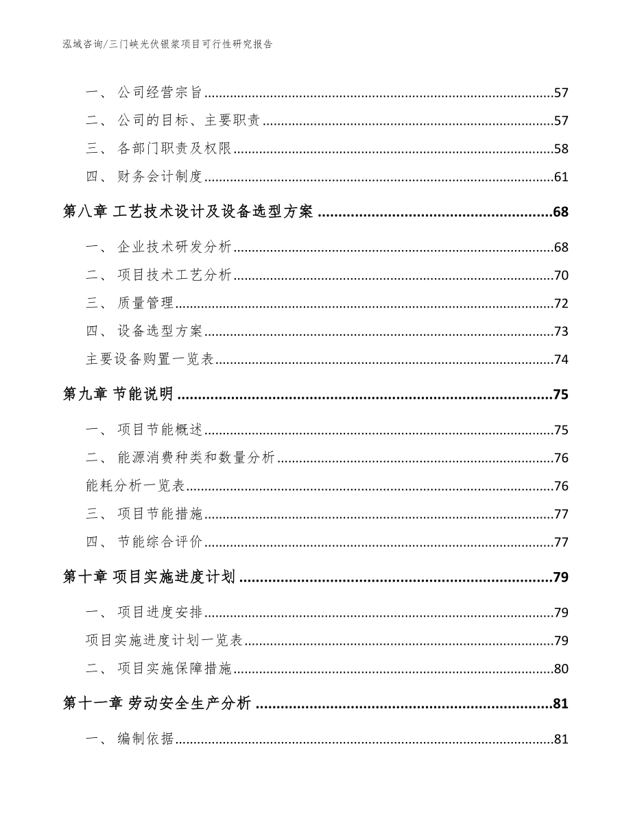 三门峡光伏银浆项目可行性研究报告_模板_第4页