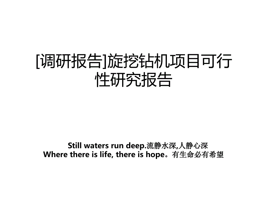 调研报告旋挖钻机项目可行性研究报告_第1页