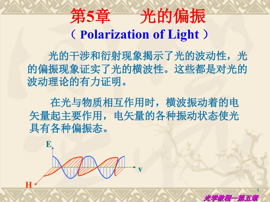 第五章光的偏振自然光与偏振光_第1页