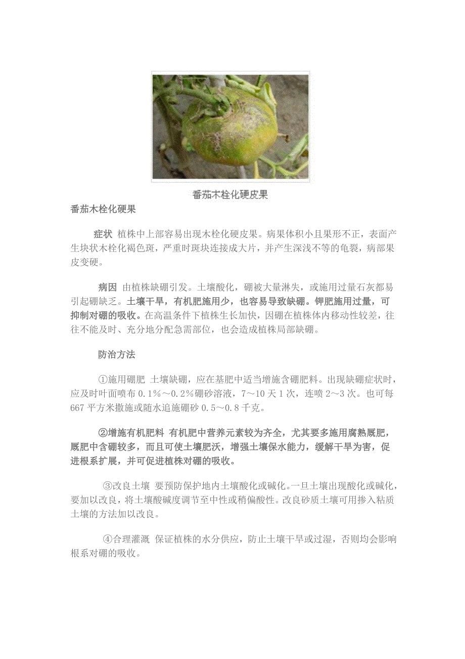 番茄常见病虫害及防治措施_第5页