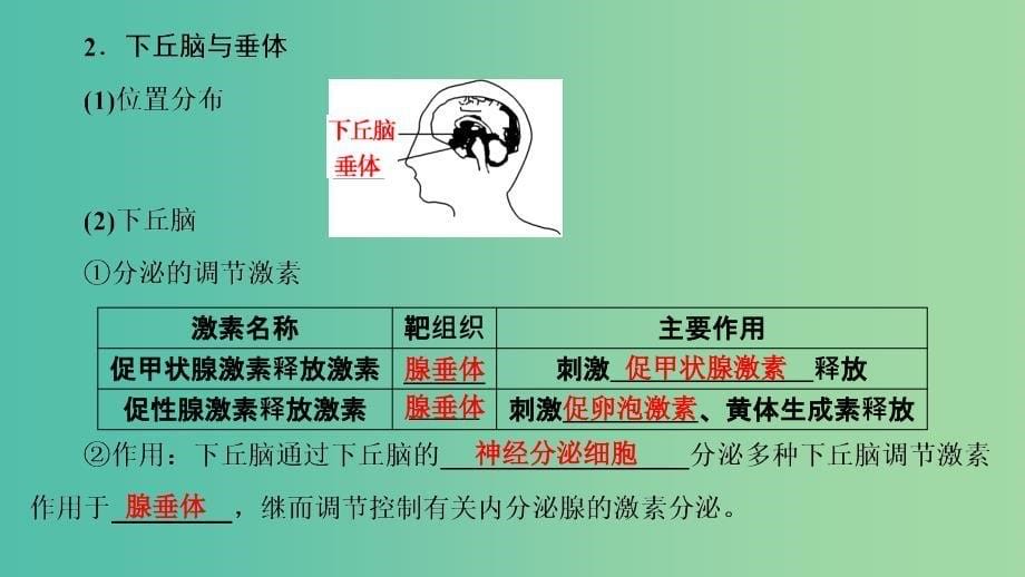 高中生物 第2章 动物生命活动的调节 第3节 高等动物的内分泌系统与体液调节（一）课件 浙科版必修3.ppt_第5页