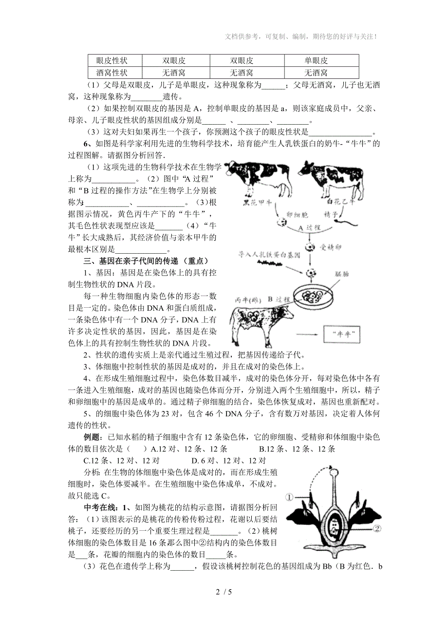 新版八年级生物下册中考复习资料_第2页