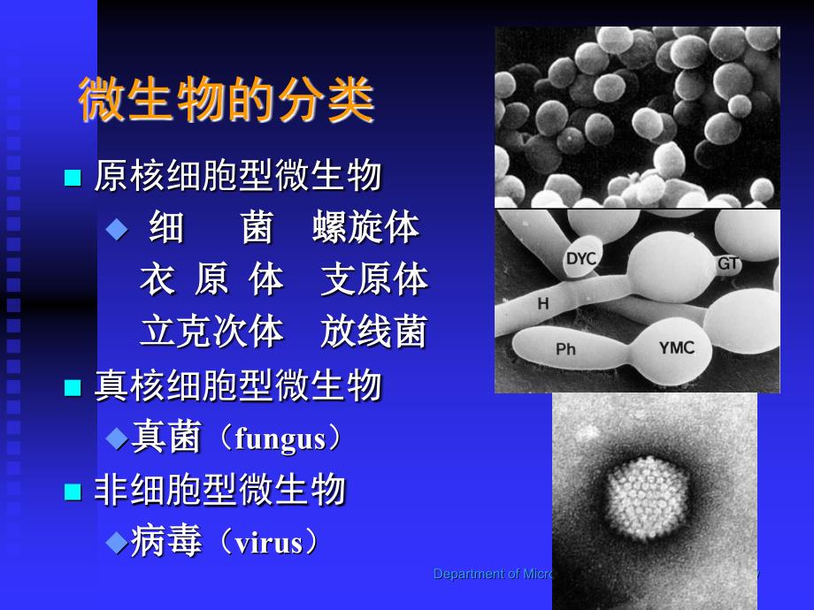 医学微生物学教学课件：性传播疾病_第3页