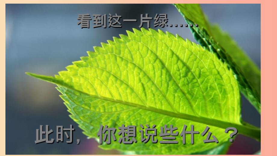 广东省河源市七年级生物上册 光合作用和呼吸作用复习课件 新人教版.ppt_第2页