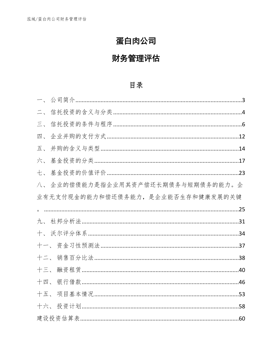 蛋白肉公司财务管理评估（范文）_第1页