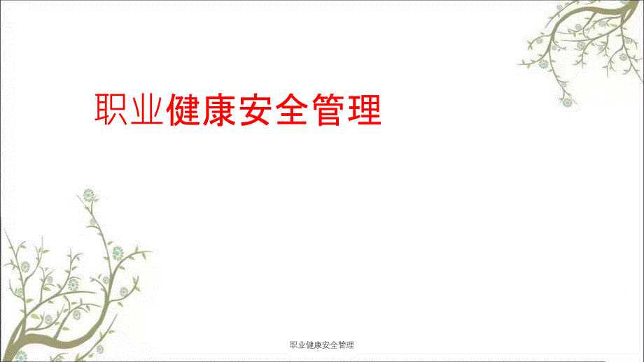 职业健康安全管理PPT课件_第1页