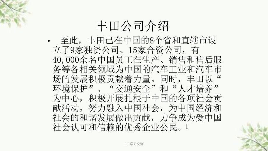 汽车营销方案课件_第5页