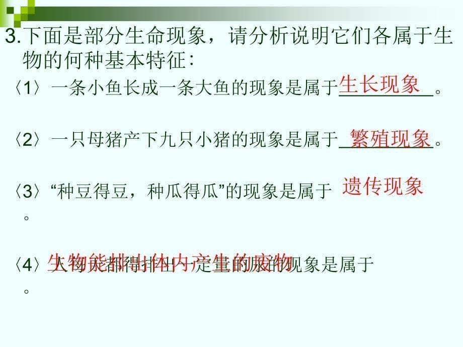 鲁教版六年级上册生物期末复习课件_第5页