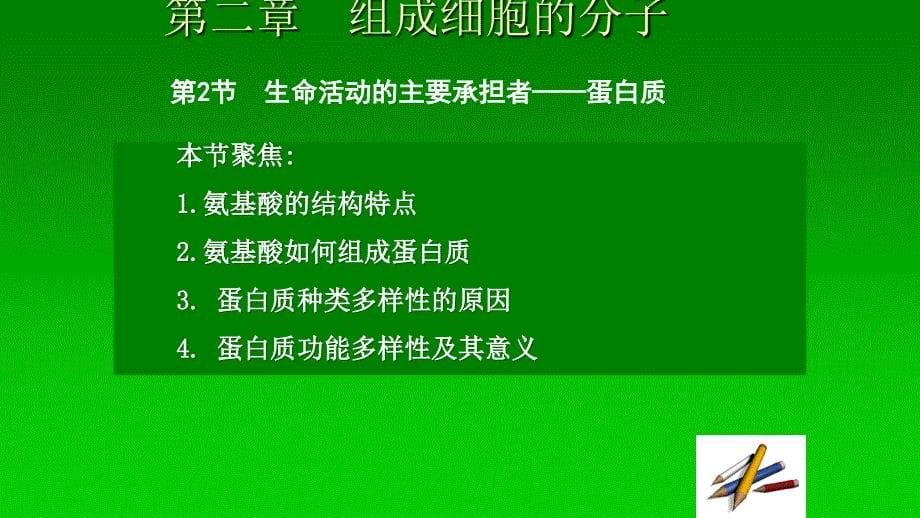 高中生物必修一22生命活动的主要承担者--蛋白质_第5页