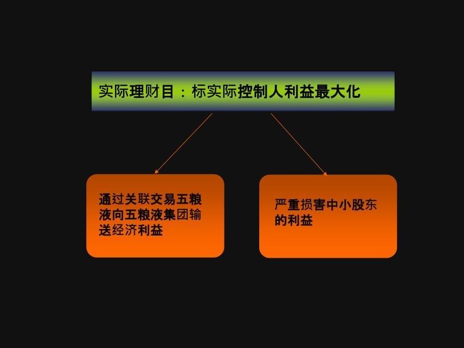 五粮液公司案例分析_第5页