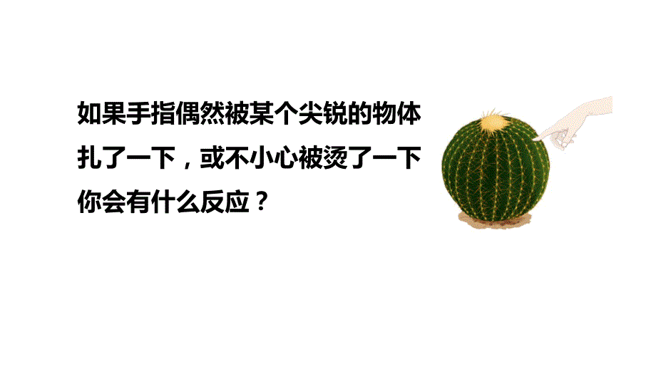 反射弧和反射课件_第3页