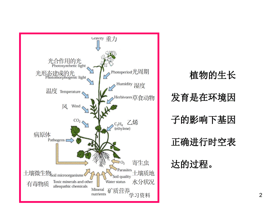 第七章细胞信号转导#学习资料_第2页