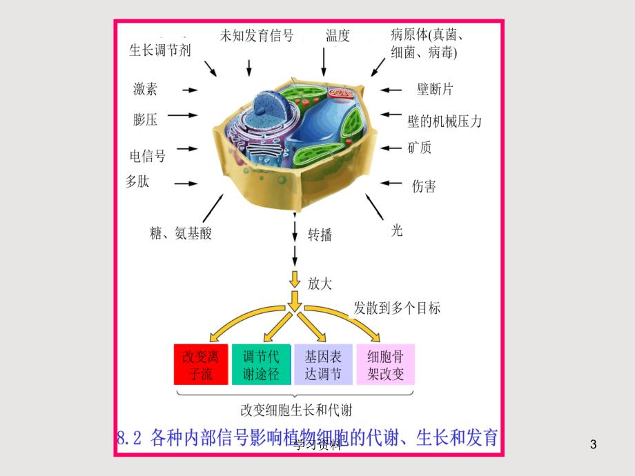 第七章细胞信号转导#学习资料_第3页