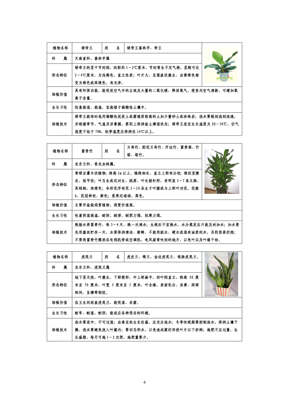 常见家居植物介你绍带图片_第4页