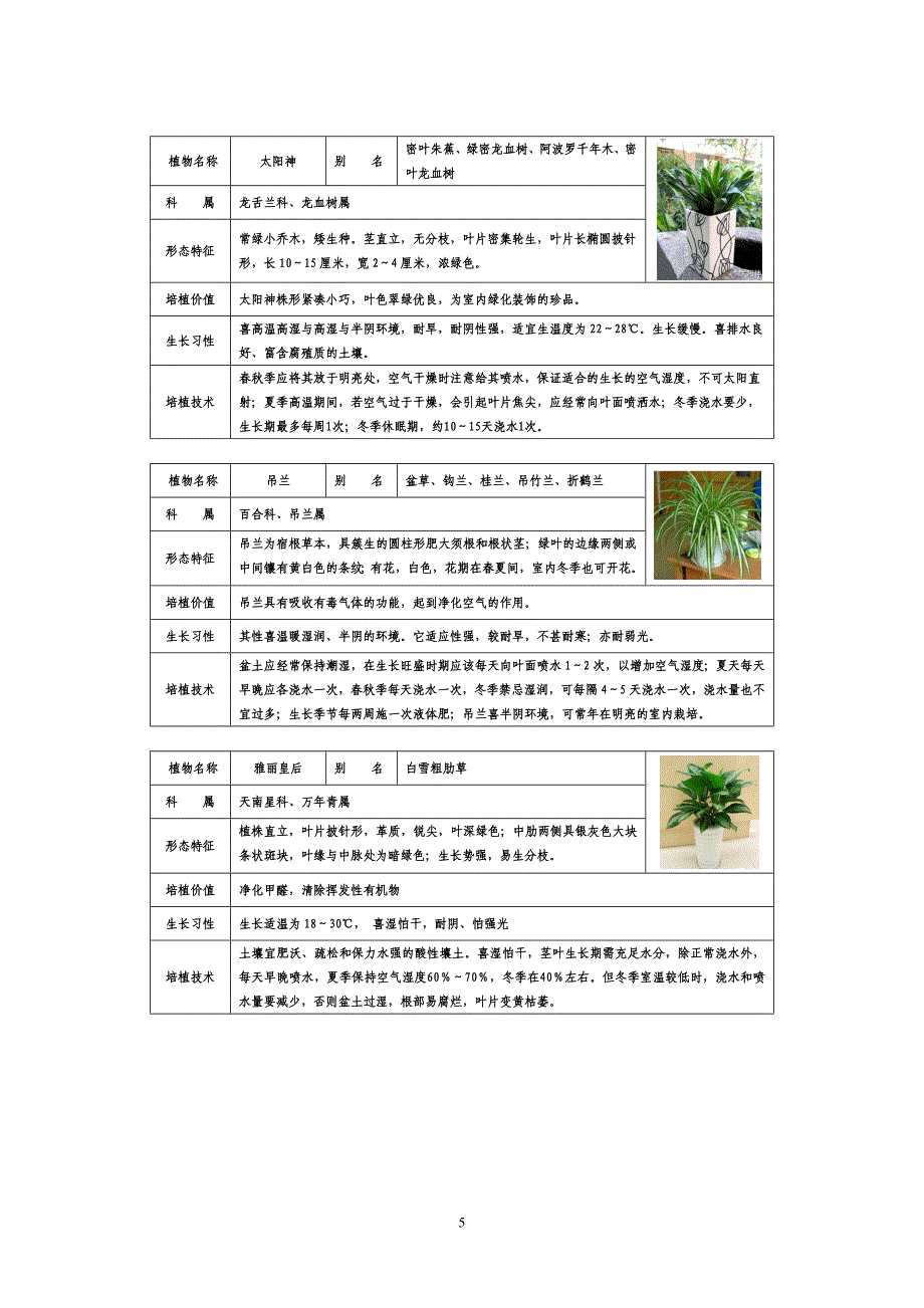 常见家居植物介你绍带图片_第5页