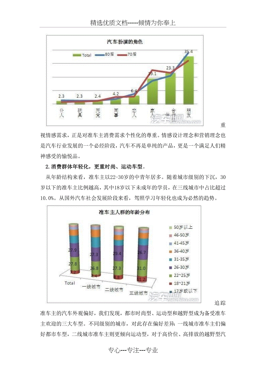 汽车消费群体分析_第2页