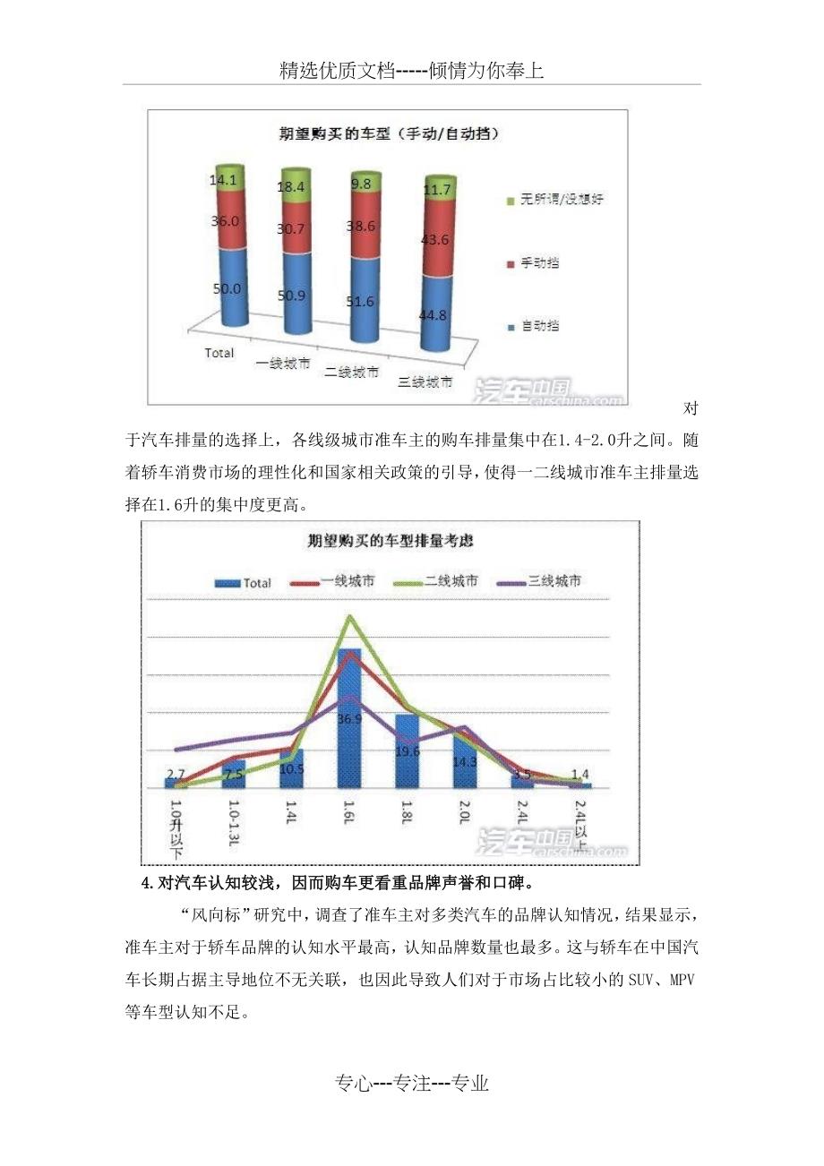 汽车消费群体分析_第5页