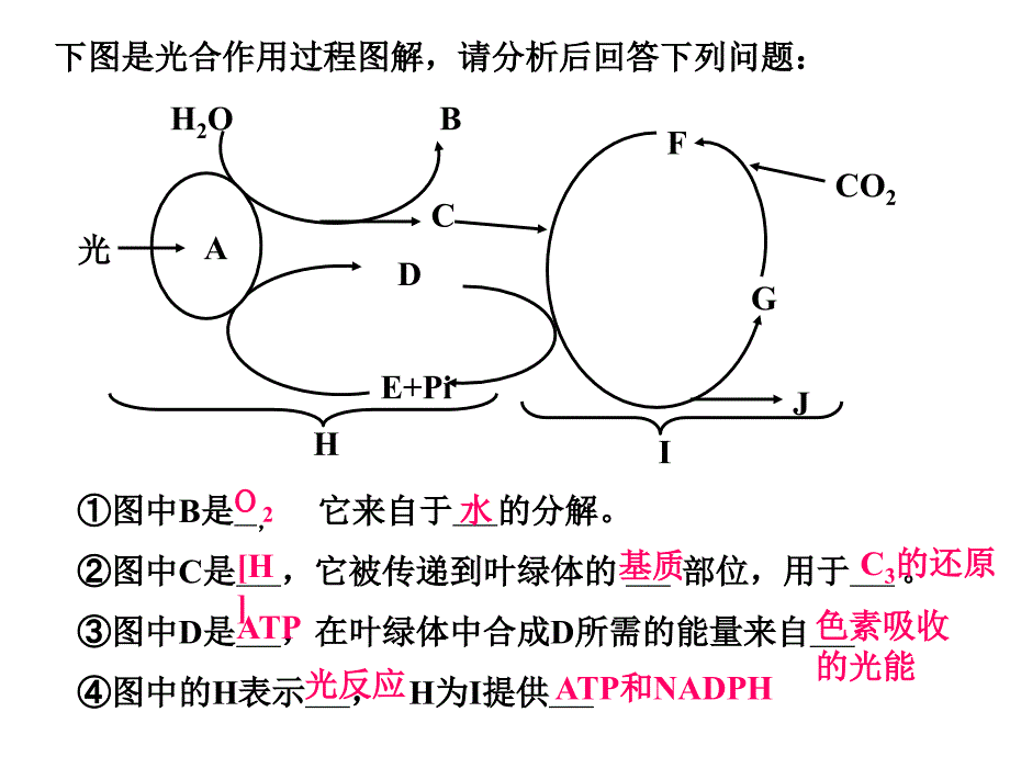 下图是光合作用过程图解请分析后回答下列问题_第1页