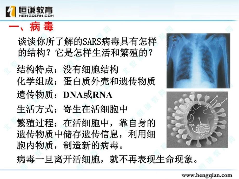 生物必修一全套课件一.ppt_第3页