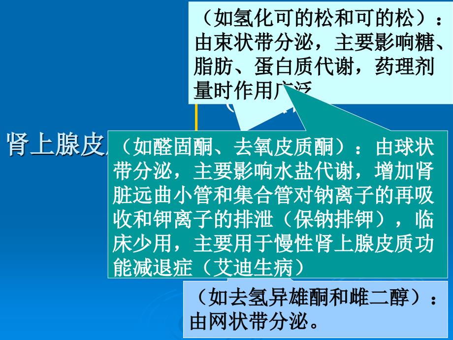 035章肾上腺皮质激素类药物1_第3页