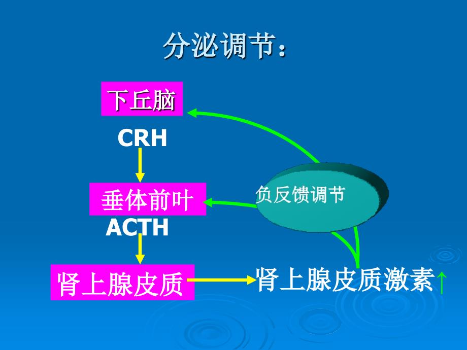 035章肾上腺皮质激素类药物1_第4页