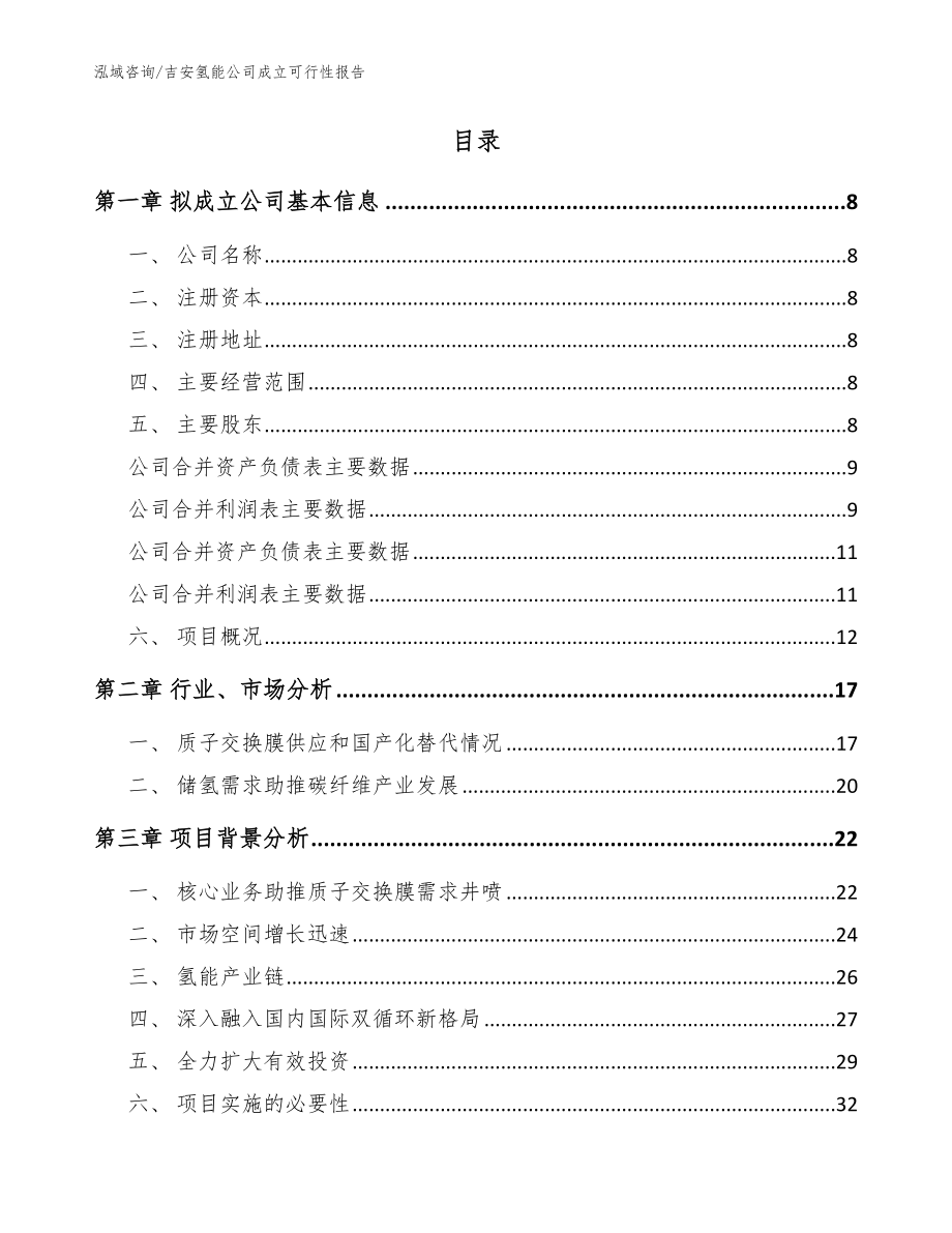 吉安氢能公司成立可行性报告范文模板_第2页