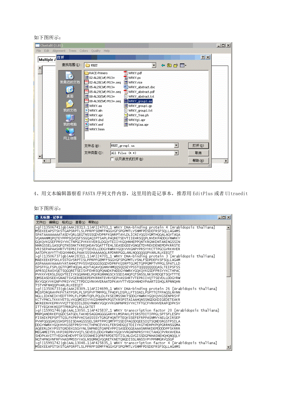 Clustalx的使用.doc_第2页