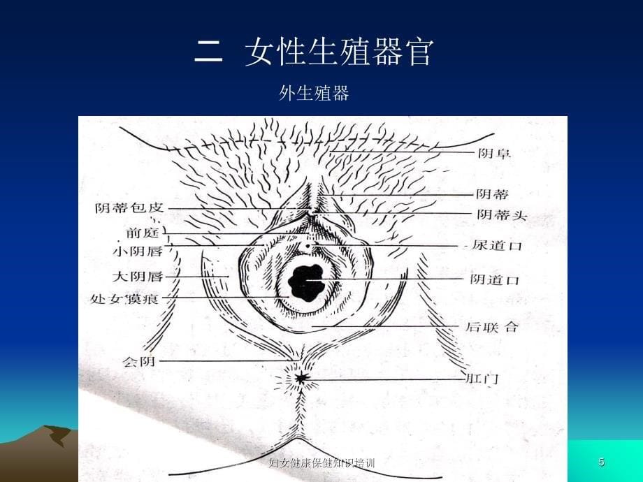 妇女健康保健知识培训课件_第5页