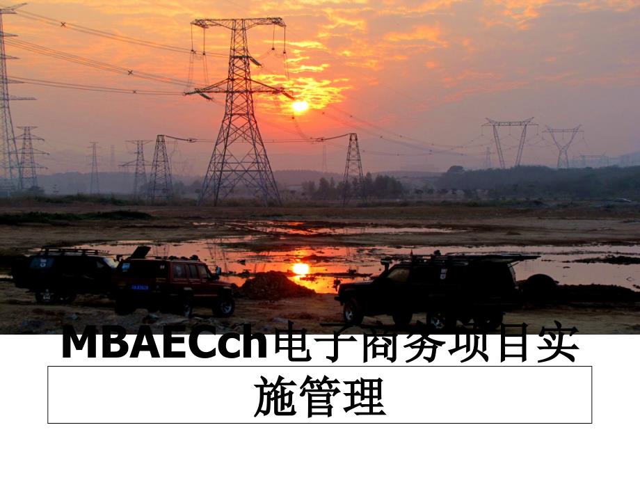 mbaecch电子商务项目实施_第1页