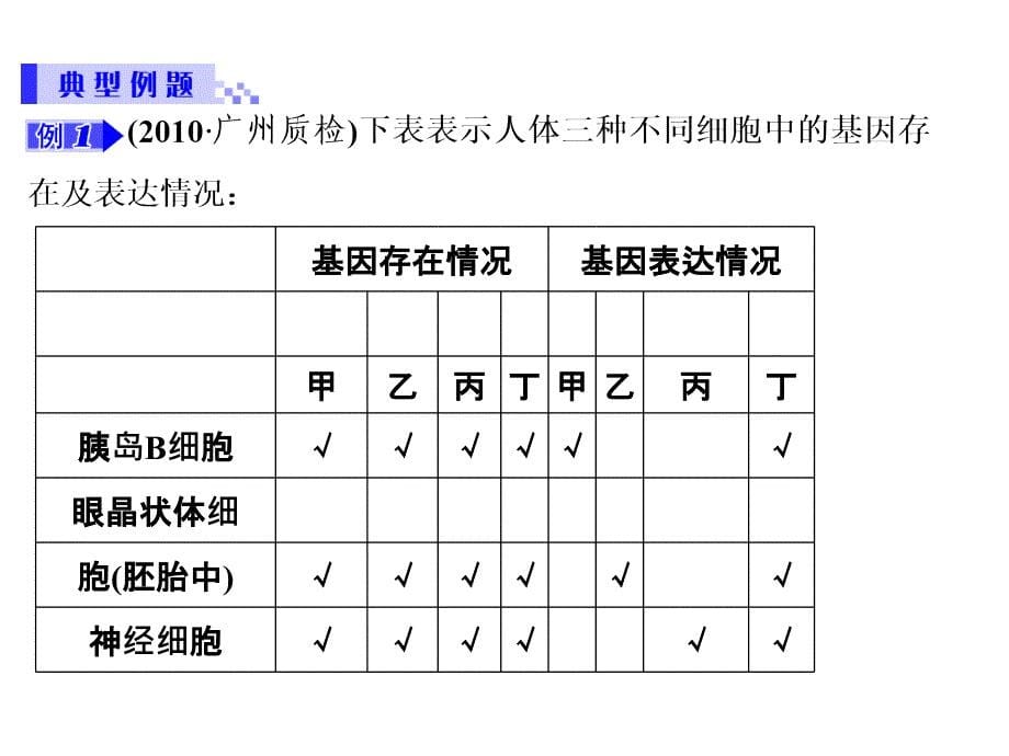 细胞的分化、衰老、凋亡和癌变_第5页