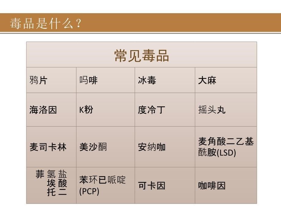 青少年禁毒主题班会_第5页