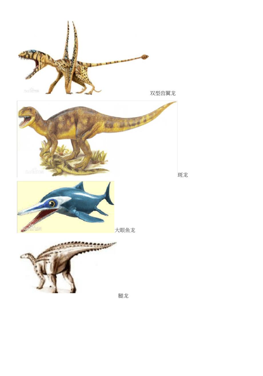 恐龙名字以及图片_第3页