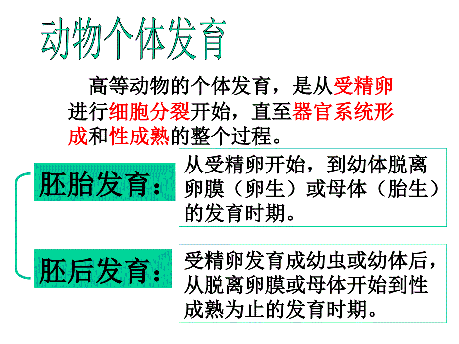 动物的有性生殖第二课时_第2页