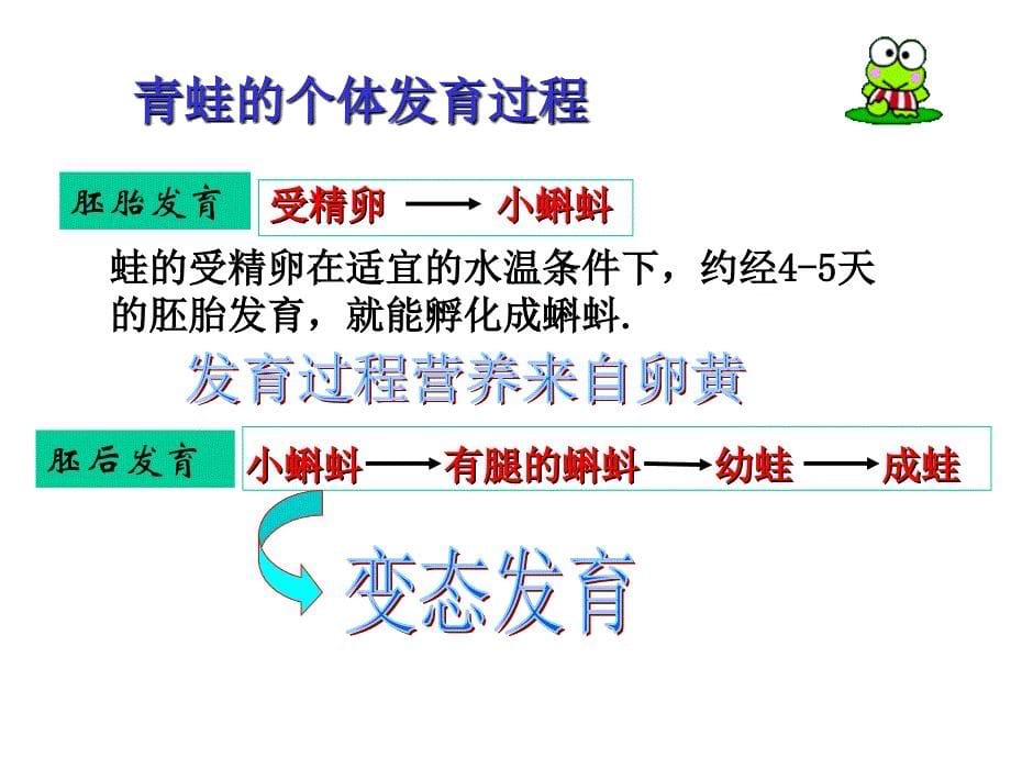 动物的有性生殖第二课时_第5页