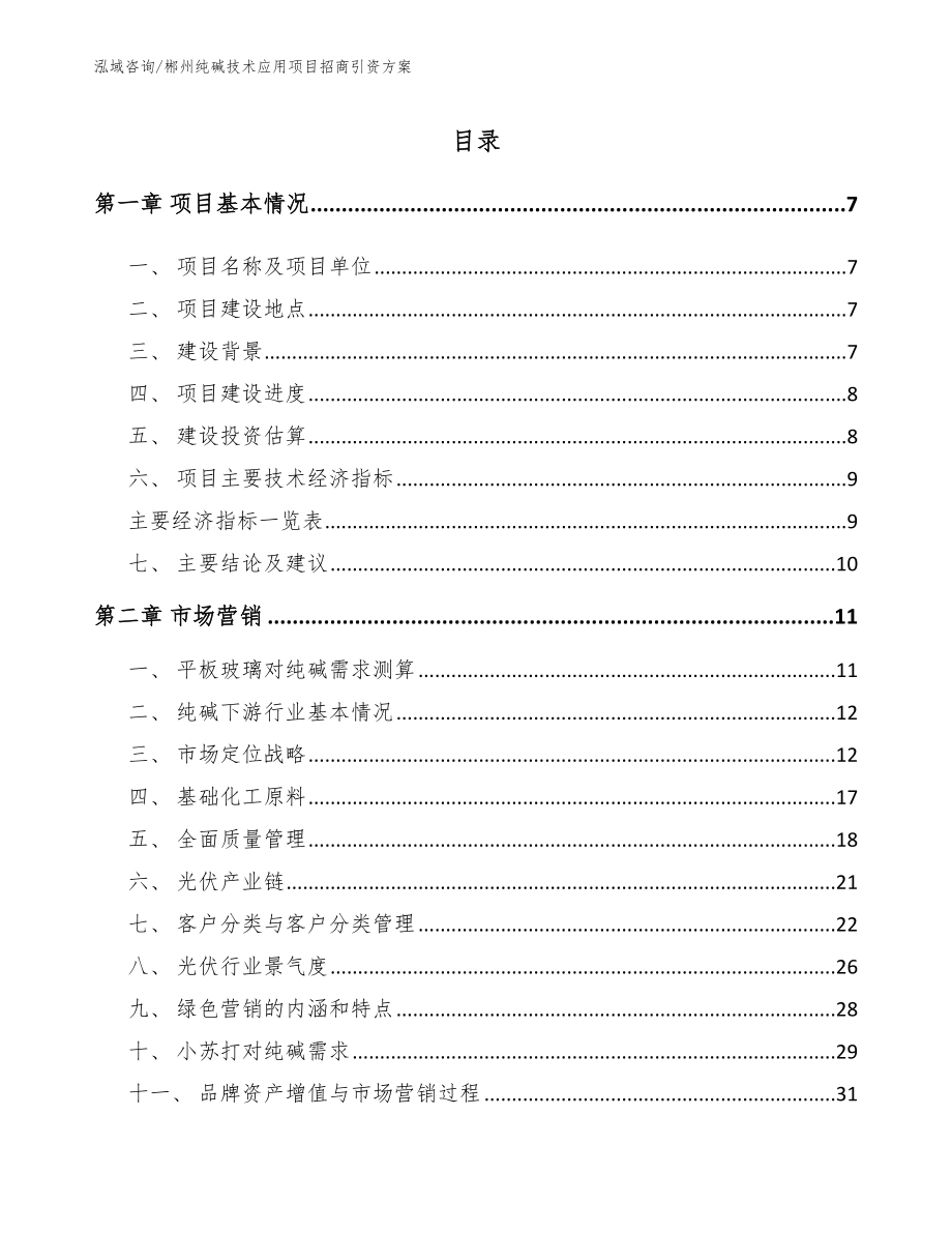 郴州纯碱技术应用项目招商引资方案模板范本_第2页