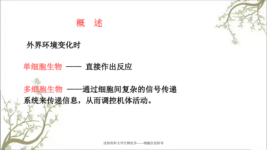 沈阳药科大学生物化学——细胞信息转导_第2页