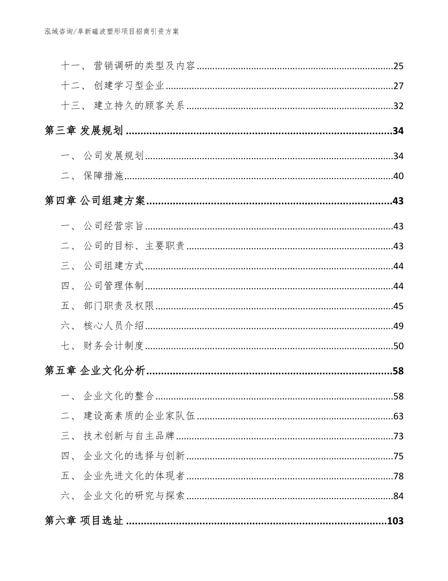 阜新磁波塑形项目招商引资方案_范文模板_第2页