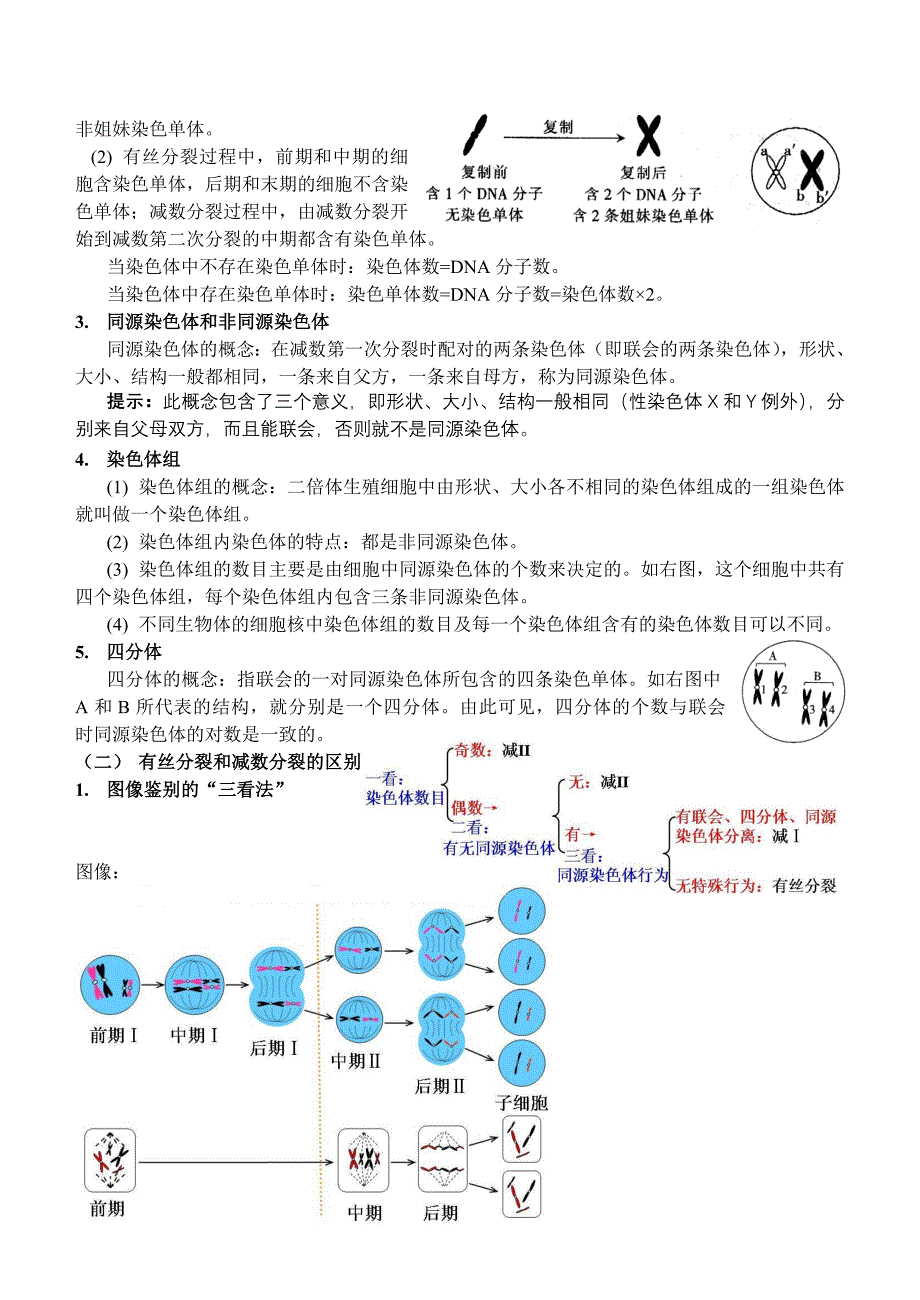 专题四细胞的生命历程和生物的生殖发育知识点梳理汇总_第3页