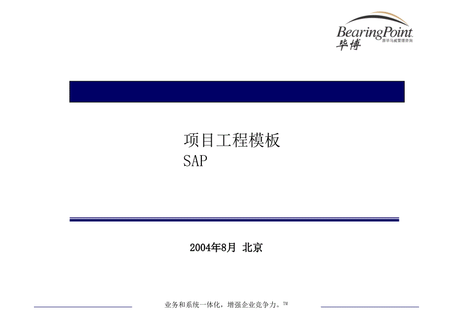 毕博为某大公司所做的项目管理培训1_第1页