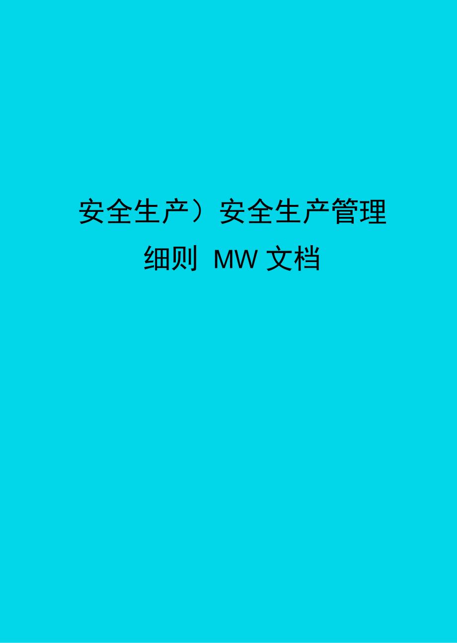 安全生产管理细则MW文档_第1页