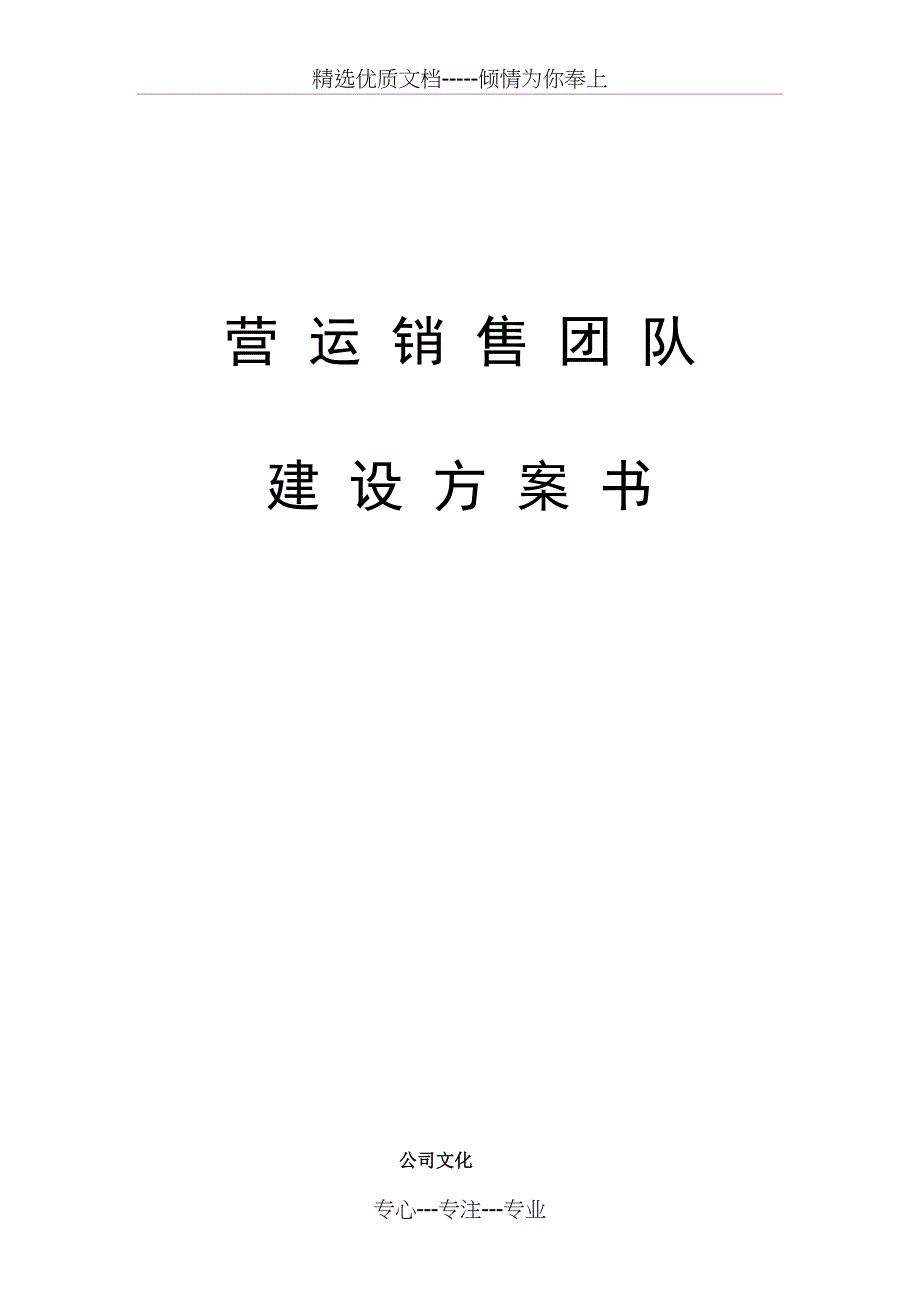 运营销售团队建设方案书_第1页