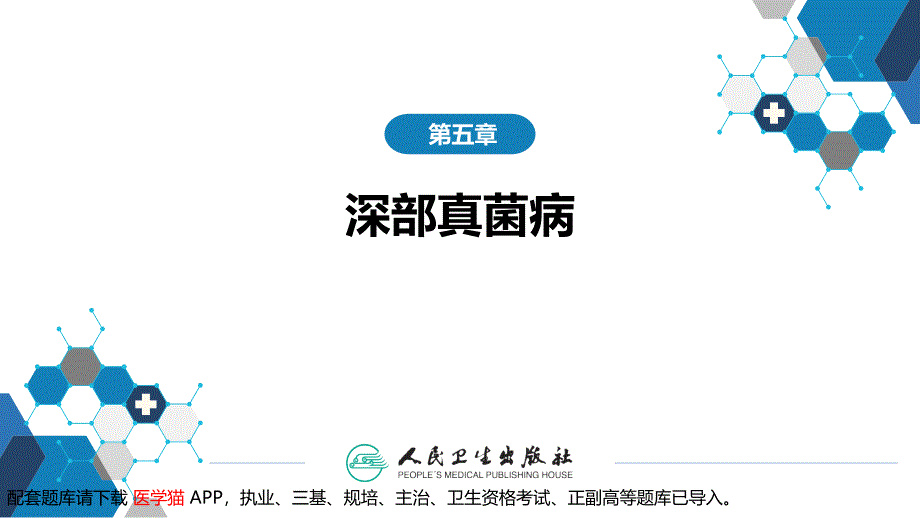 《传染病学》第五章深部真菌病第一节新型隐球菌病课件.ppt_第2页