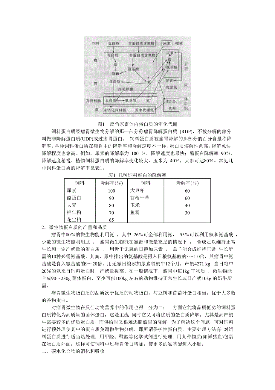 反刍动物的消化吸收特点.doc_第3页