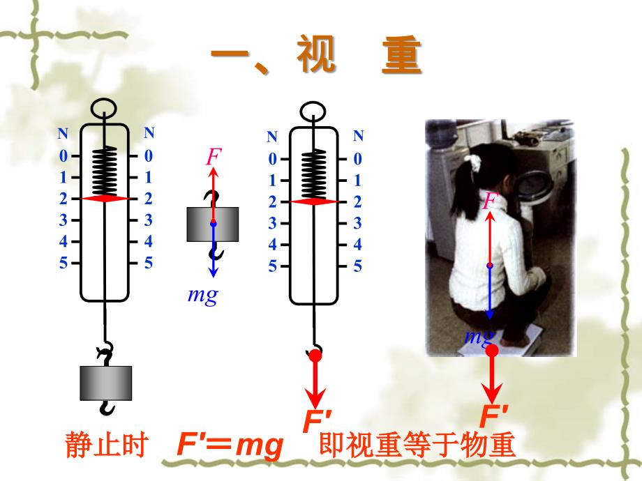 高中物理课件：超重与失重(_第3页