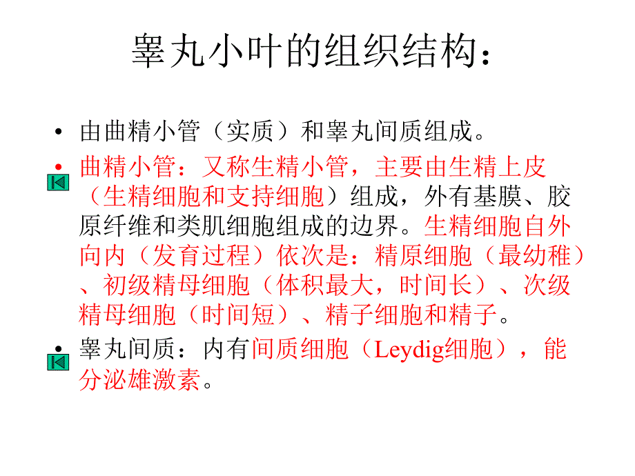 生殖系统组织ppt课件_第3页