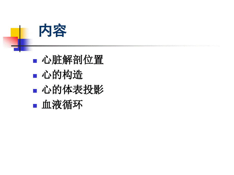 心脏基础解剖_第4页