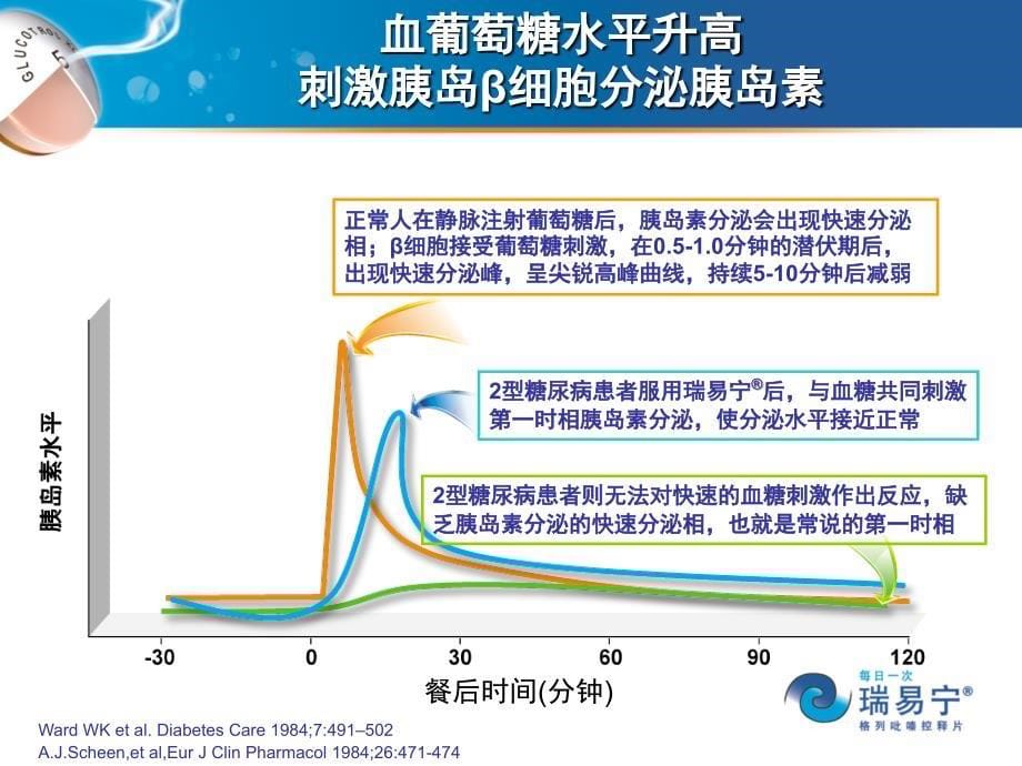 有性dapimppt课件_第5页